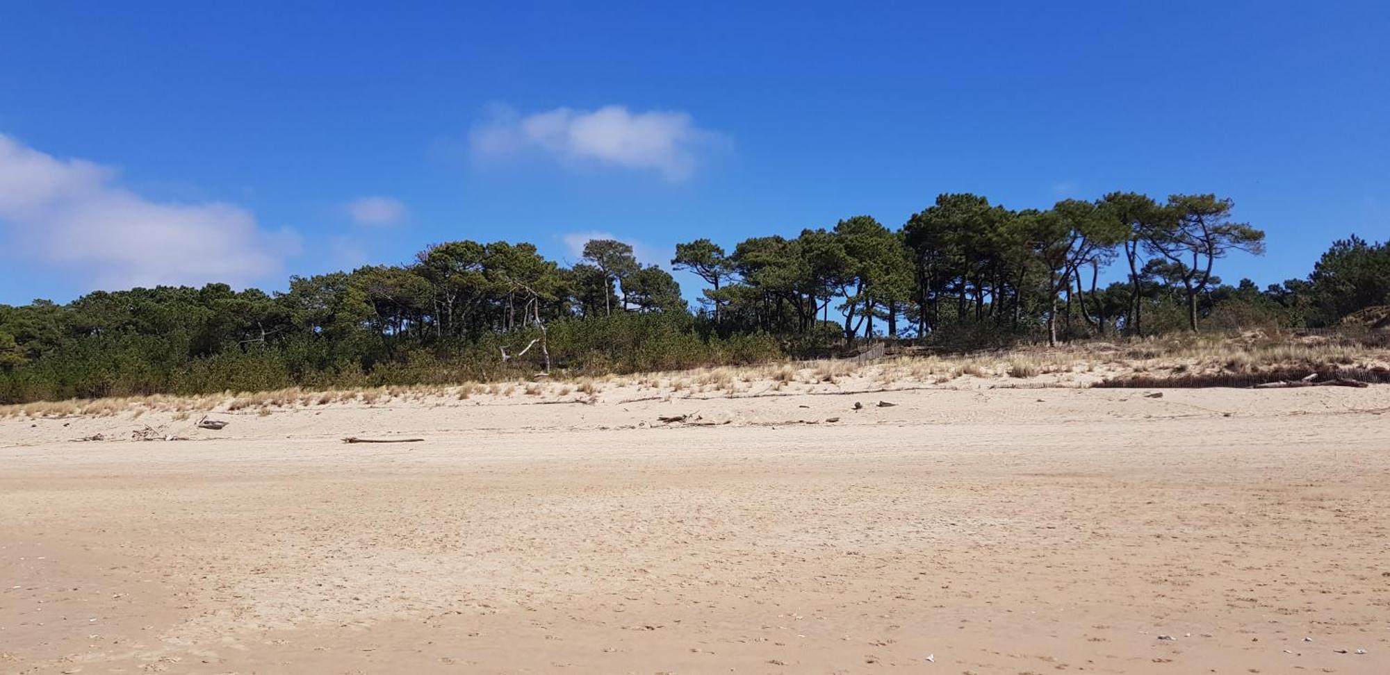 Les Rochers De Vallieres, Appartement De 35 M2 Avec 1 Chambre, Terrasses, Jardin 140 M2, Vue Panoramique Face A L'Ocean ! Saint-Georges-de-Didonne Eksteriør billede